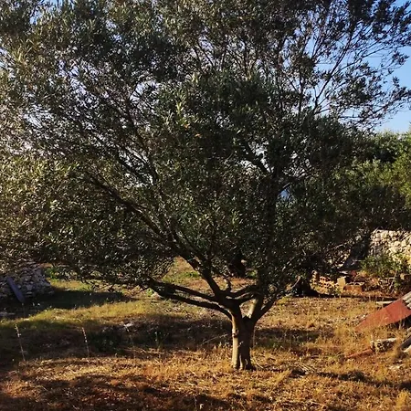 Nikolovi Dvori * Silba